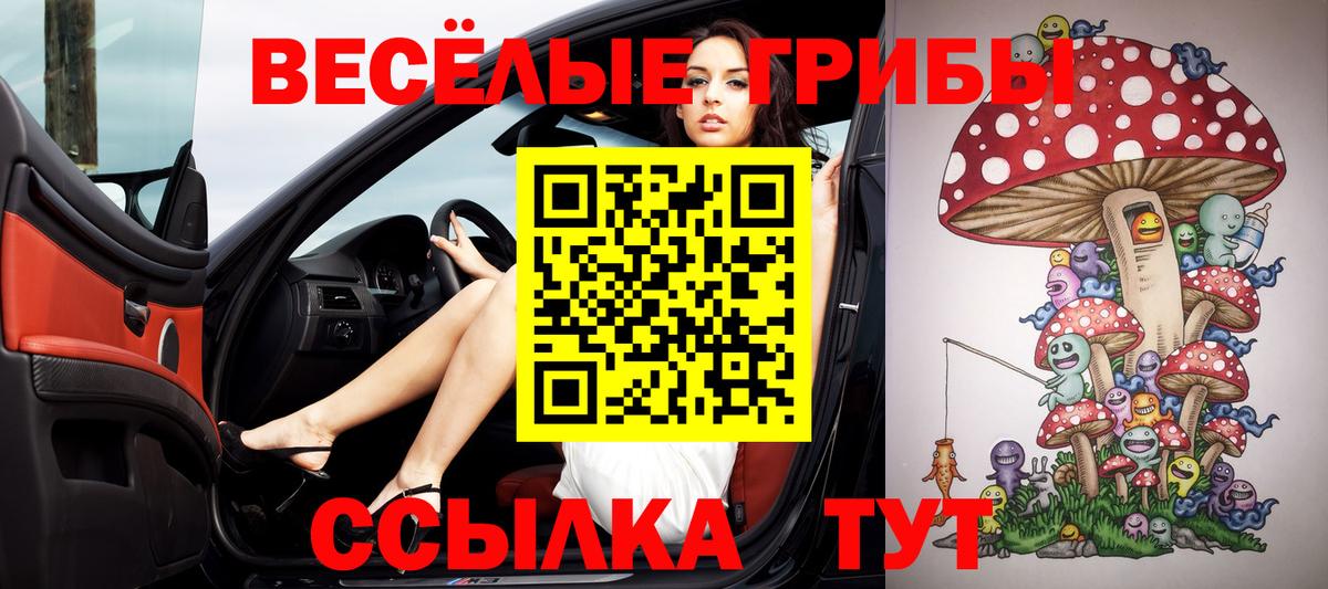 Галлюциногенные грибы мицелий Белово