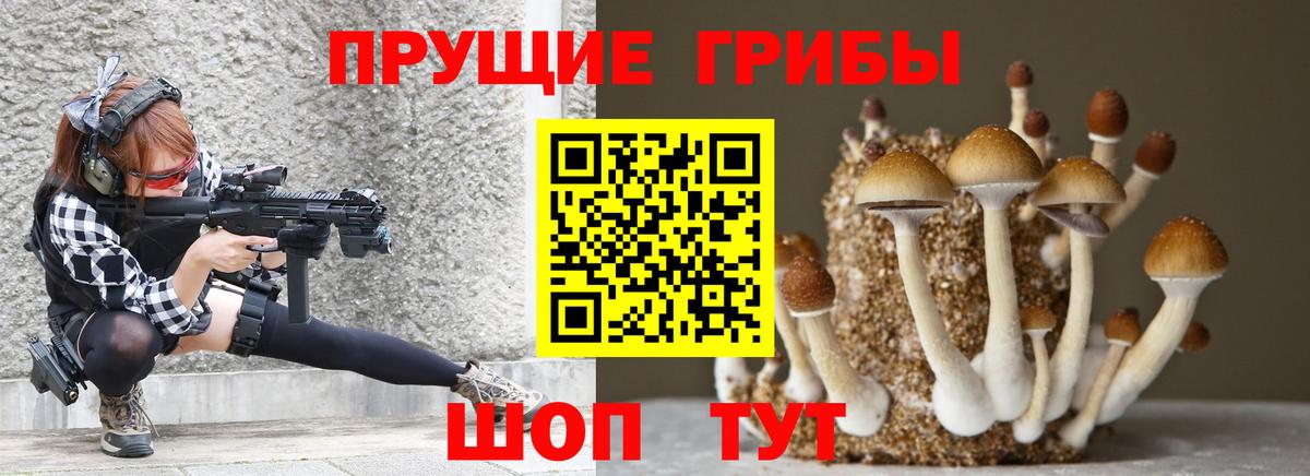 Галлюциногенные грибы GOLDEN TEACHER  Вход с VPN  Белово 
